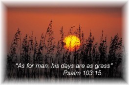 Psalm 103:15
